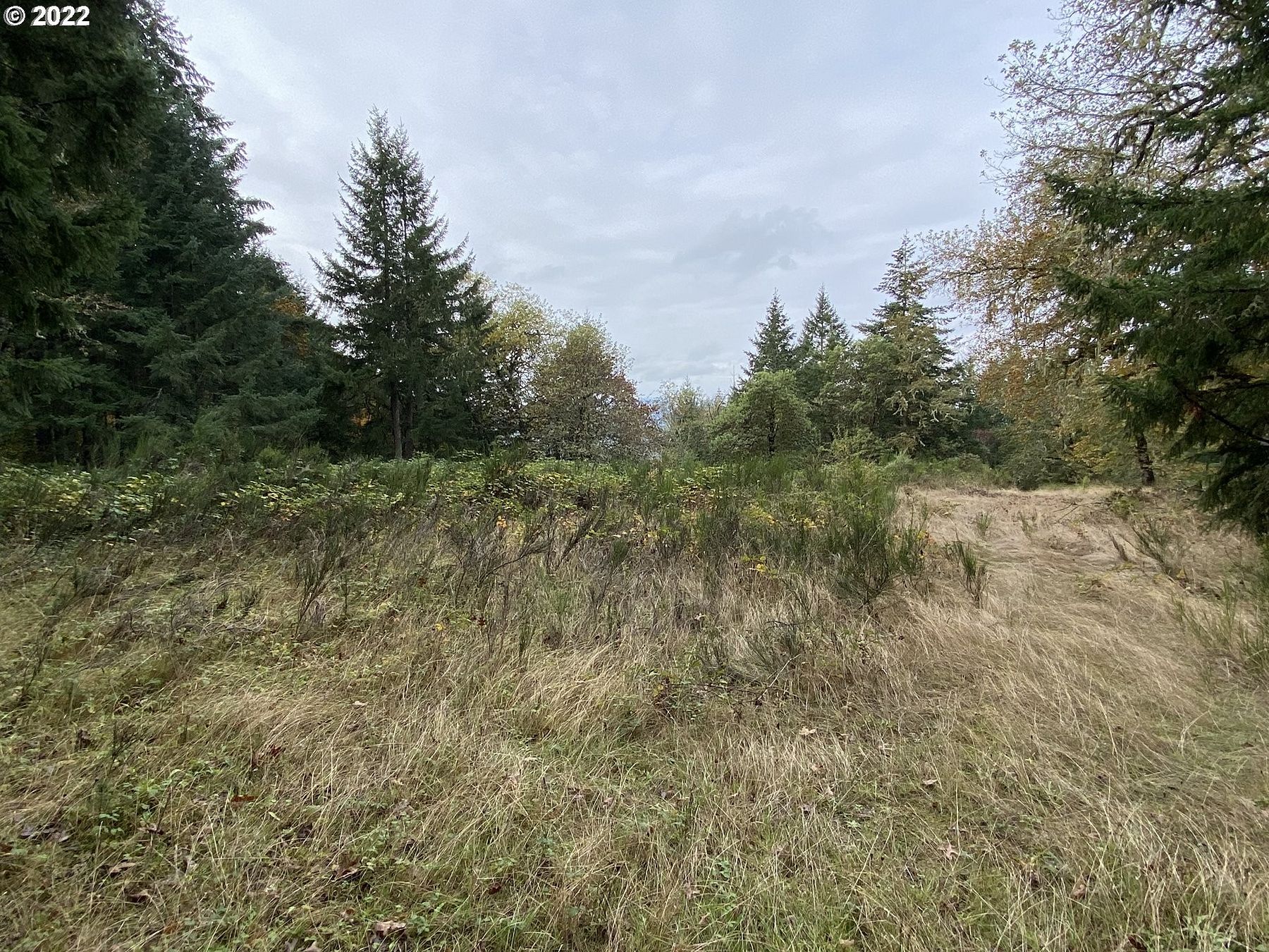 8.6 Acres of Land for Sale in Sutherlin, Oregon