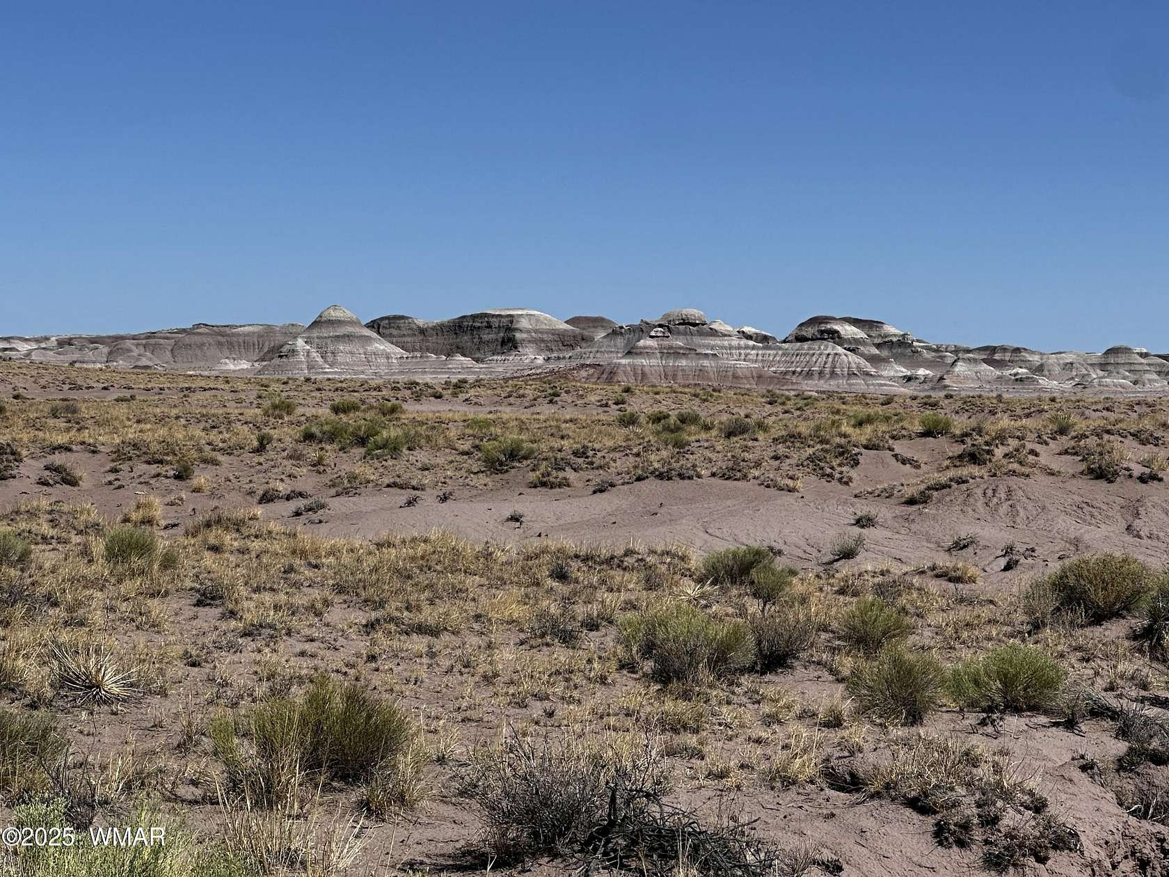 40.4 Acres of Land for Sale in Joseph City, Arizona