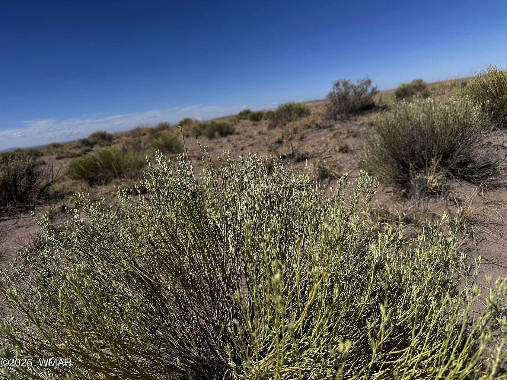 40 Acres of Land for Sale in Joseph City, Arizona