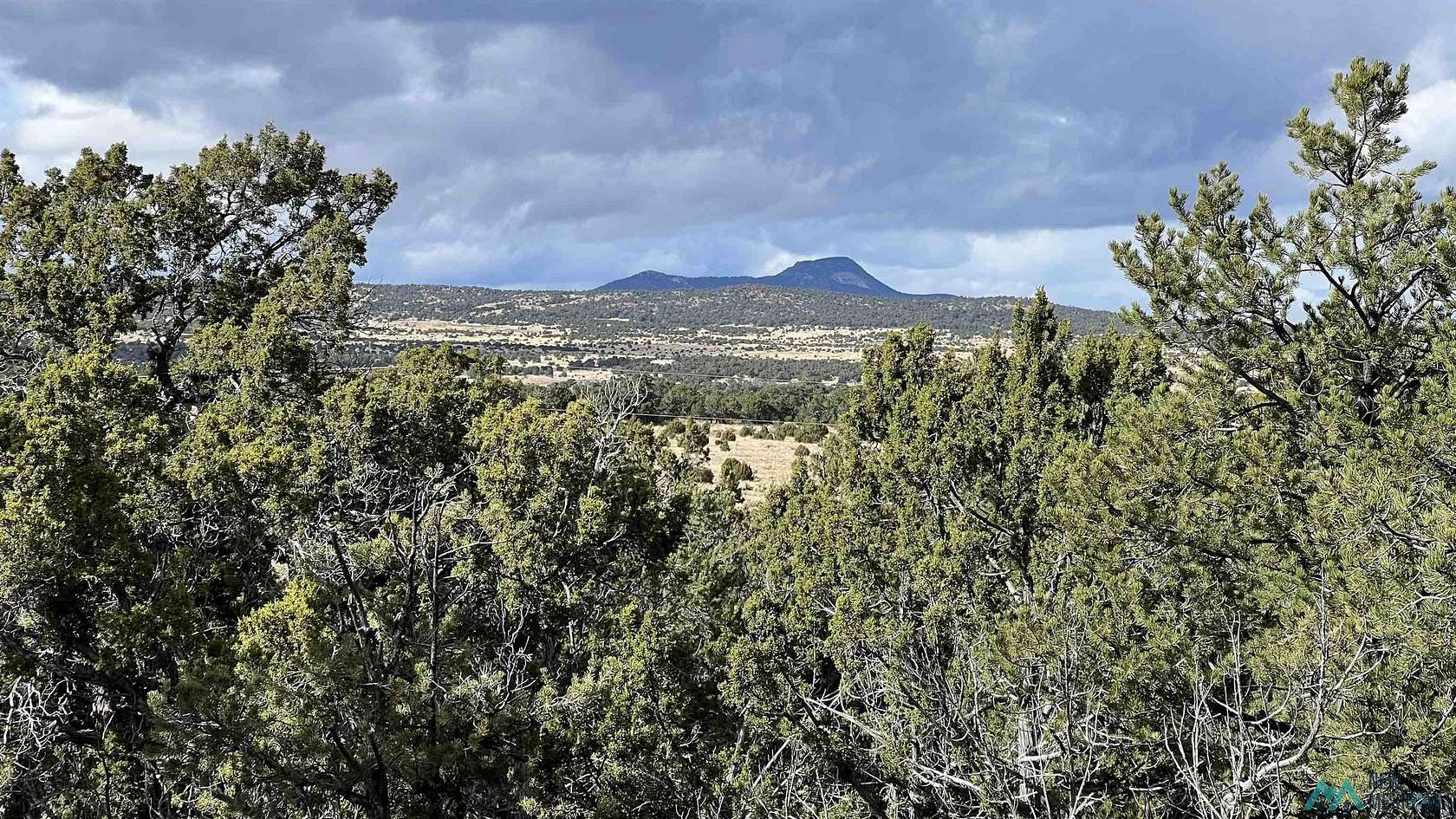 6.42 Acres of Residential Land for Sale in Pie Town, New Mexico