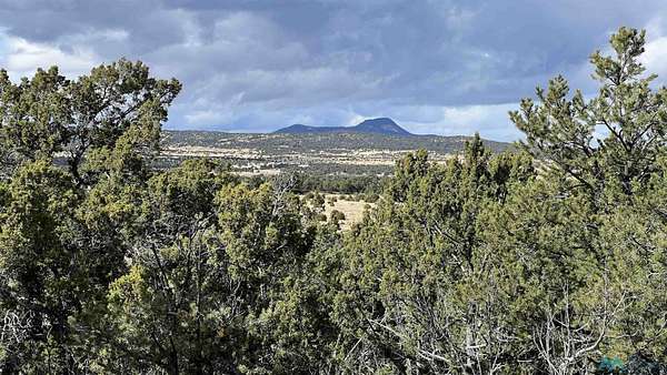 6.42 Acres of Residential Land for Sale in Pie Town, New Mexico