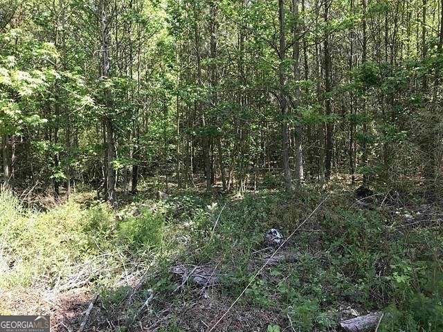 9 Acres of Residential Land for Sale in South Fulton, Georgia