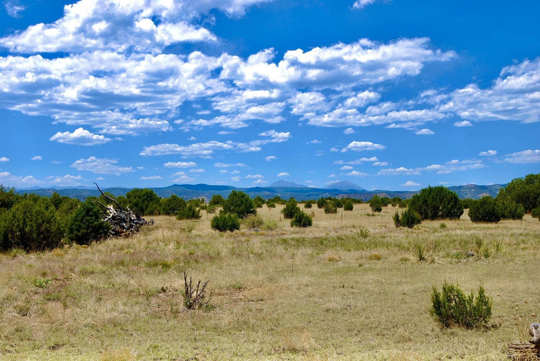 35.5 Acres of Land for Sale in Trinidad, Colorado LandSearch