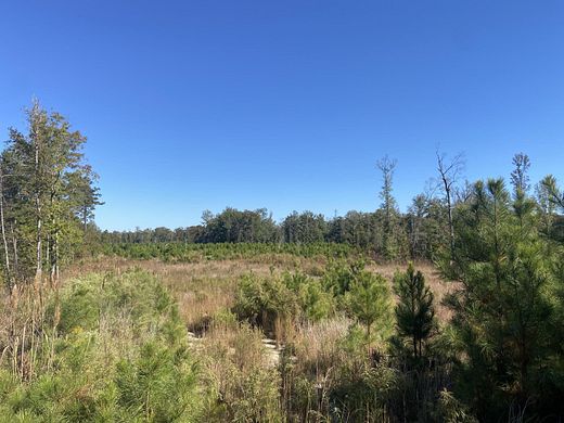 85 Acres of Recreational Land for Sale in Lewisville, Arkansas