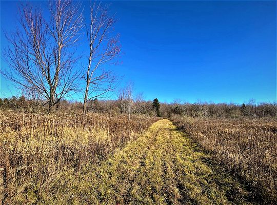61.7 Acres of Recreational Land for Sale in Springville, New York