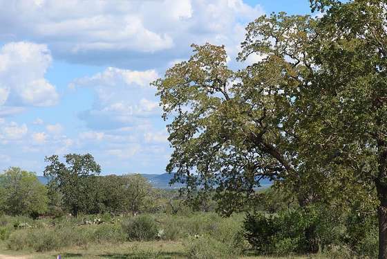50 Acres of Recreational Land & Farm for Sale in Bandera, Texas