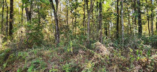 2 Acres of Land for Sale in Havana, Florida