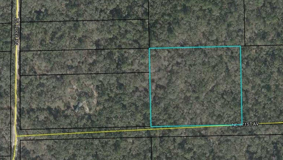 5.17 Acres of Land for Sale in Old Town, Florida