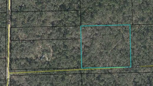 5.17 Acres of Land for Sale in Old Town, Florida