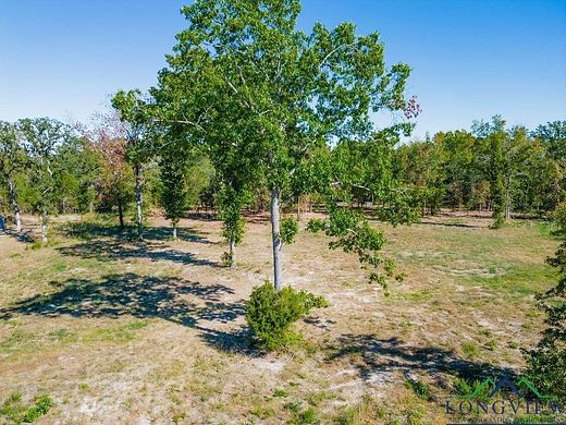 0.71 Acres of Residential Land for Sale in Big Sandy, Texas