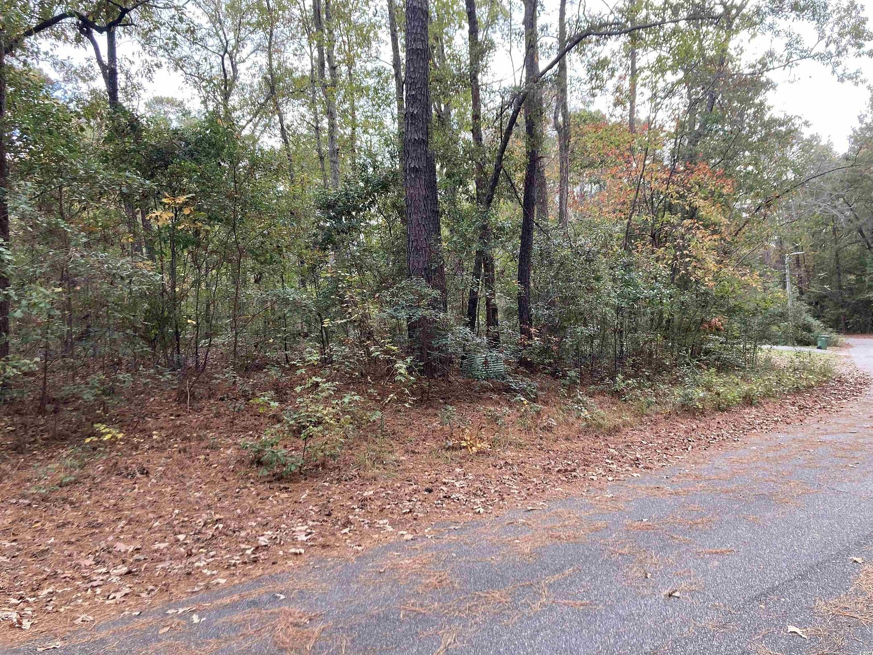 0.41 Acres of Residential Land for Sale in Johnsonville, South Carolina