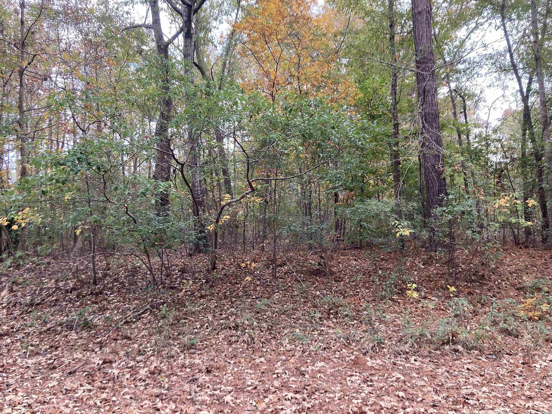 0.39 Acres of Residential Land for Sale in Johnsonville, South Carolina