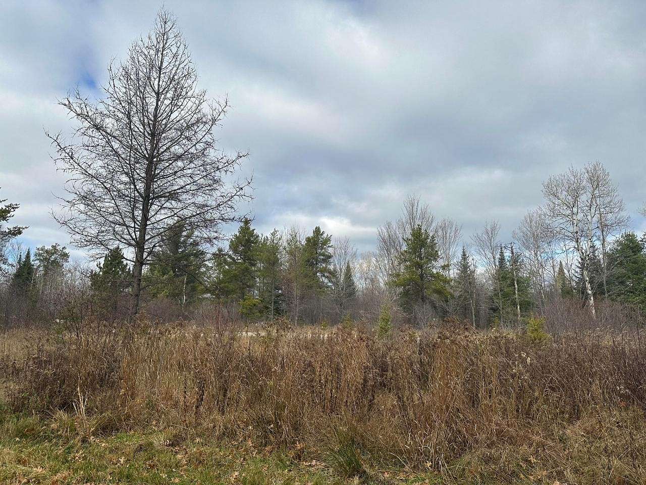 10.34 Acres of Land for Sale in Rhinelander, Wisconsin