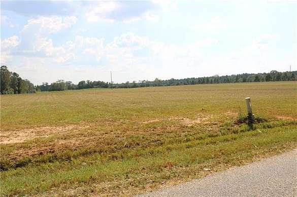 1 Acre of Residential Land for Sale in Mount Hermon, Louisiana