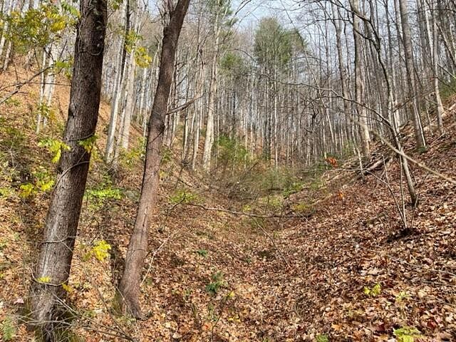 17.5 Acres of Land for Sale in Erwin, Tennessee