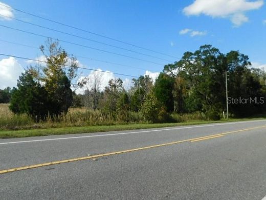 26.6 Acres of Land for Sale in Webster, Florida