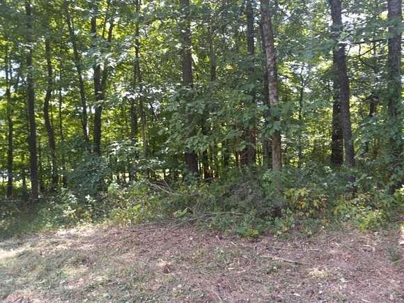 3 Acres of Residential Land with Home for Sale in Dresden, Tennessee