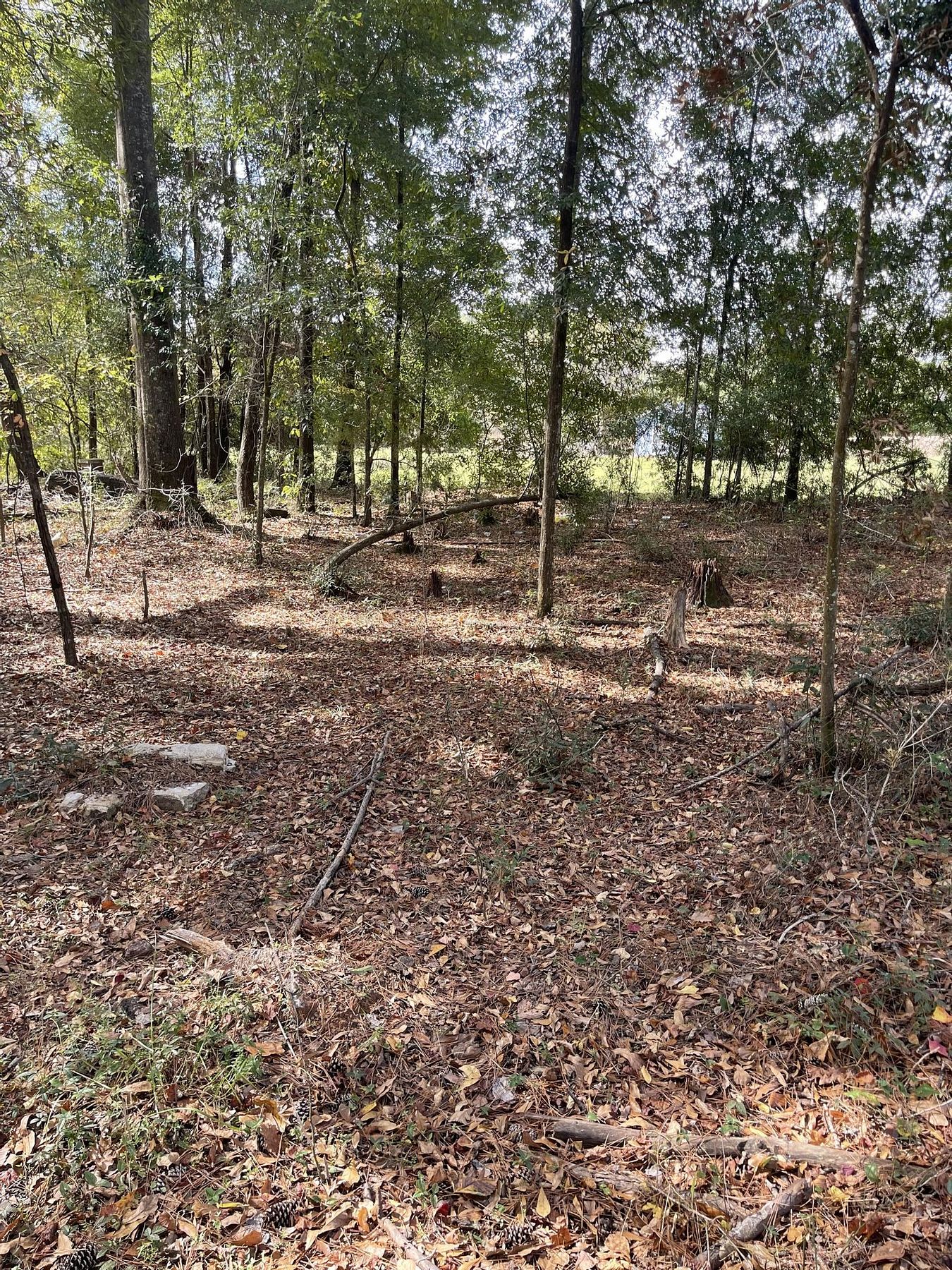 0.3 Acres of Mixed-Use Land for Sale in Eufaula, Alabama