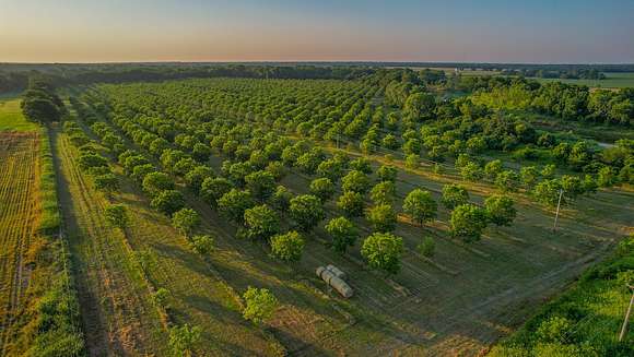 84.2 Acres of Recreational Land & Farm for Sale in Prague, Oklahoma