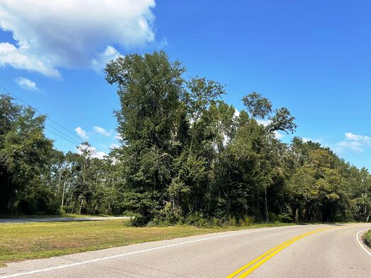 7.9 Acres of Commercial Land for Sale in Walterboro, South Carolina