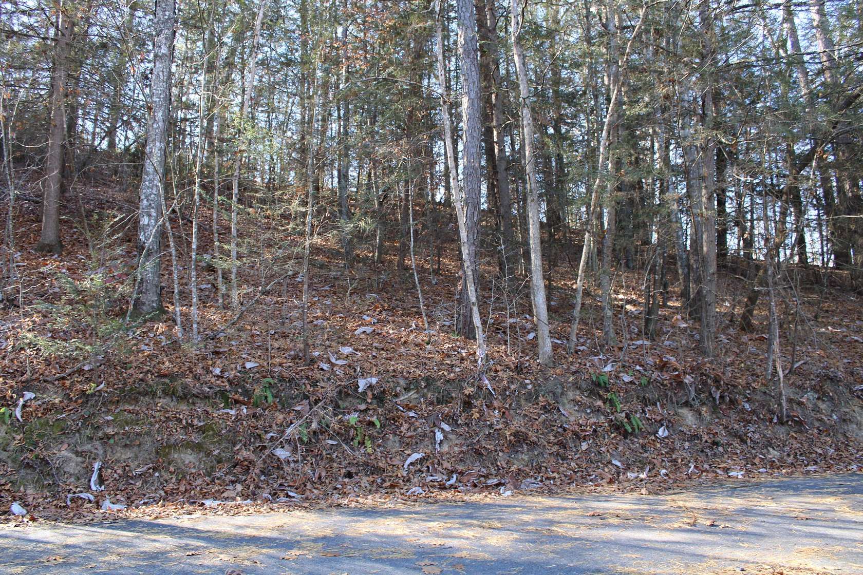 0.9 Acres of Land for Sale in London, Kentucky