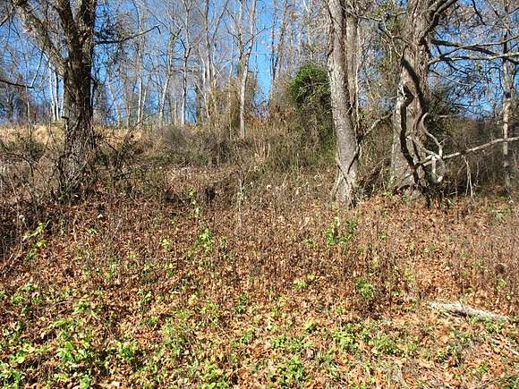 1 Acre of Residential Land for Sale in Woodlawn, Virginia