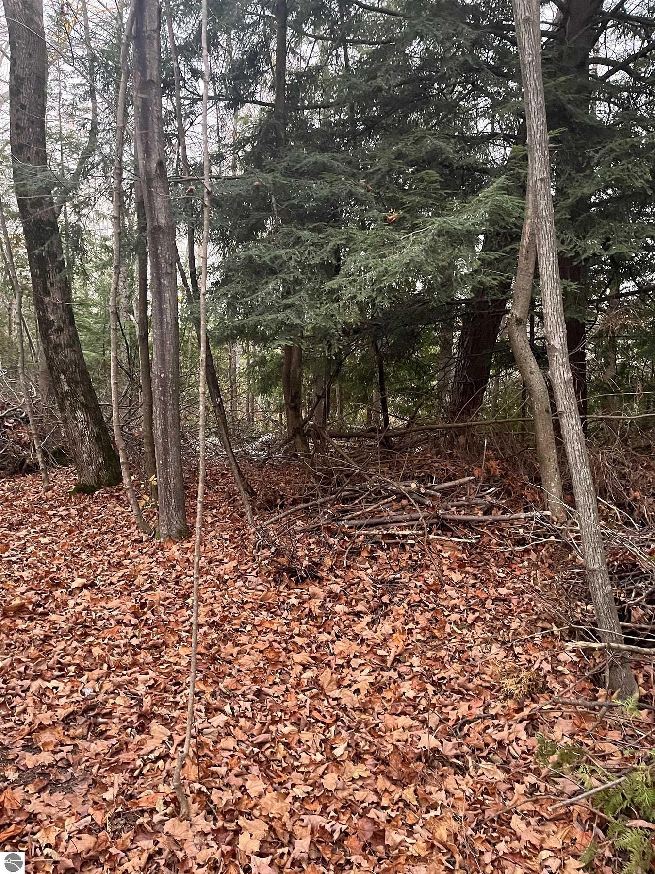 0.27 Acres of Land for Sale in Northport, Michigan