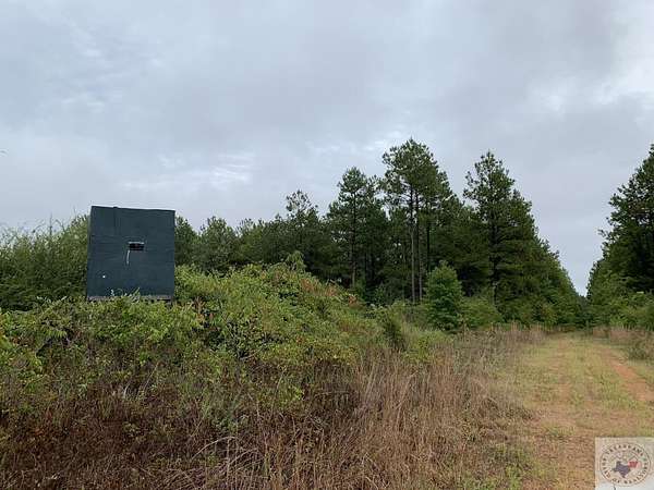 42 Acres of Recreational Land & Farm for Sale in Marietta, Texas