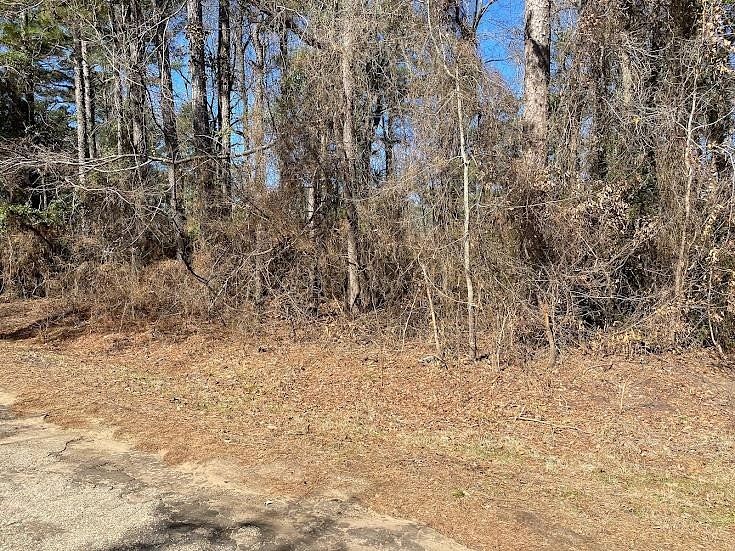 0.18 Acres of Land for Sale in Jefferson, Texas