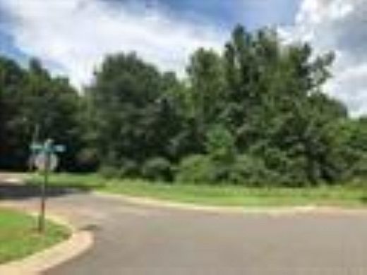 0.43 Acres of Residential Land for Sale in Queen City, Texas