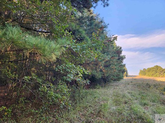 28.25 Acres of Recreational Land for Sale in Bloomburg, Texas