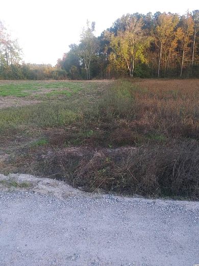 1.9 Acres of Land for Sale in Mullins, South Carolina