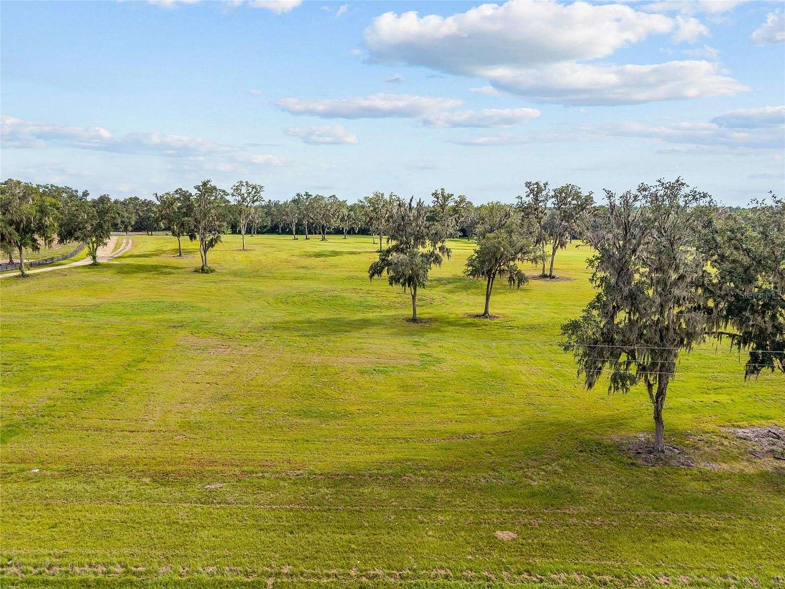 25.5 Acres of Agricultural Land for Sale in Reddick, Florida