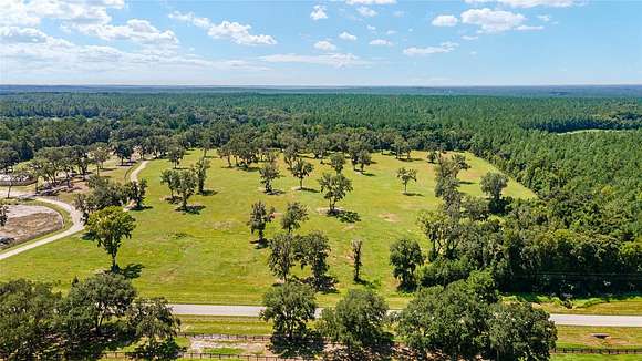 25.45 Acres of Agricultural Land for Sale in Reddick, Florida