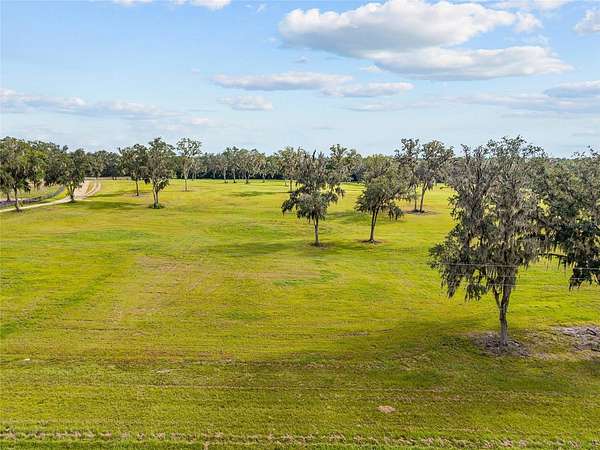 25.5 Acres of Agricultural Land for Sale in Reddick, Florida