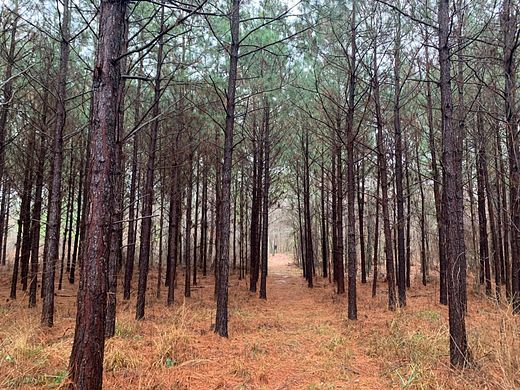 148 Acres of Recreational Land for Sale in Ladelle, Arkansas - LandSearch