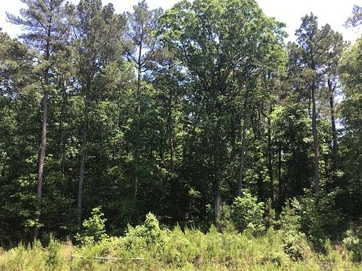 19.1 Acres of Recreational Land for Sale in Monticello, Arkansas