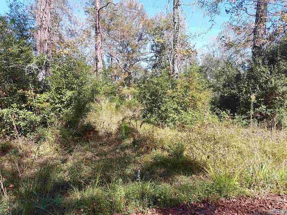 1 Acre of Residential Land for Sale in Baton Rouge, Louisiana