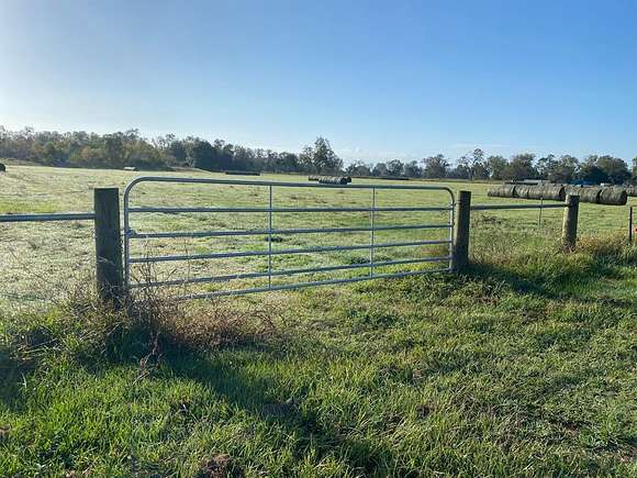 18 Acres of Land for Sale in Cedar Lane, Texas