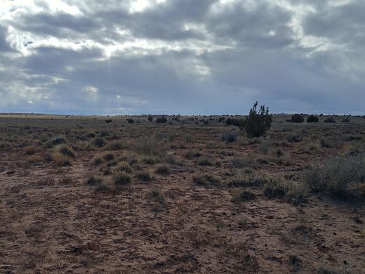 40.6 Acres of Recreational Land for Sale in Snowflake, Arizona