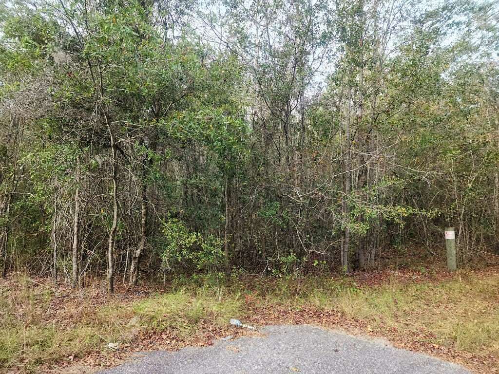 10.7 Acres of Land for Sale in St. George, South Carolina