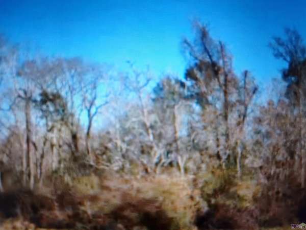 5.72 Acres of Land for Sale in Greenwell Springs, Louisiana