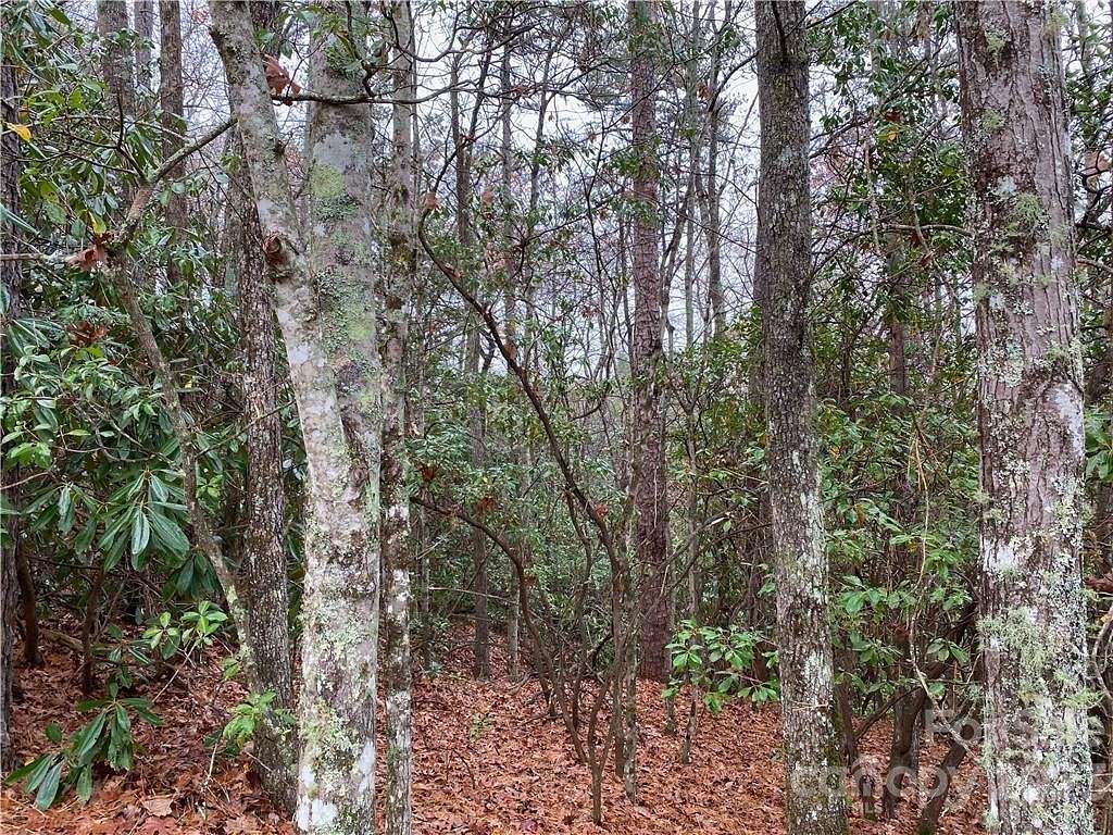 0.84 Acres of Land for Sale in Brevard, North Carolina