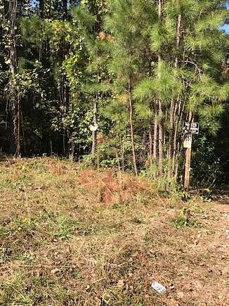 2.7 Acres of Residential Land for Sale in Palmetto, Georgia