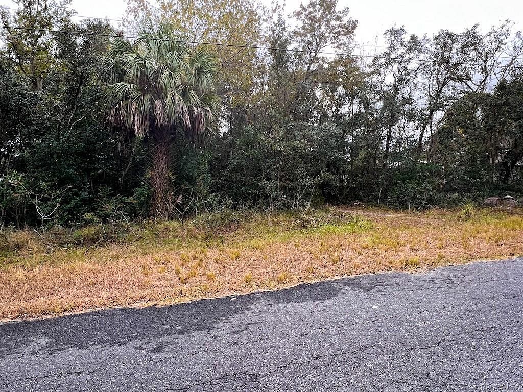 0.52 Acres of Land for Sale in Homosassa, Florida