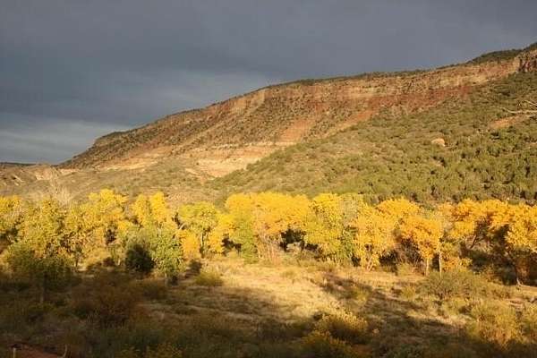 53 Acres of Land for Sale in Virgin, Utah