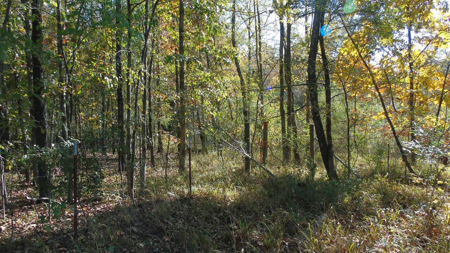 1 Acre of Residential Land for Sale in Florence, Alabama