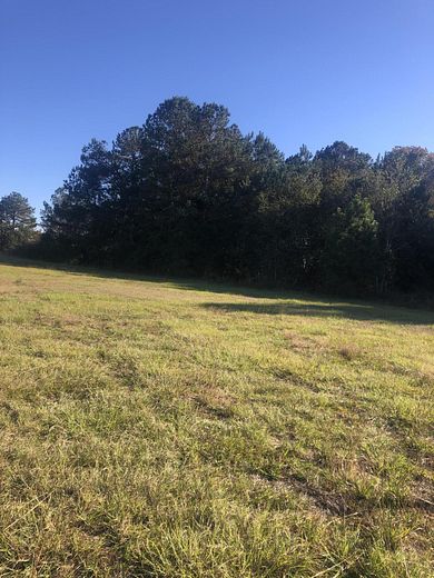 6 Acres of Land for Sale in Trenton, South Carolina