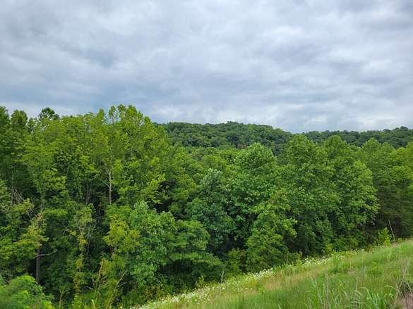 18 Acres of Recreational Land for Sale in Aberdeen, Ohio