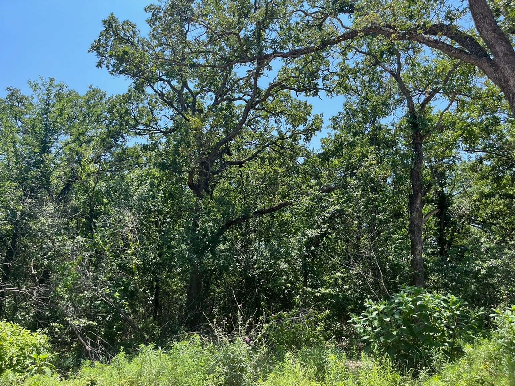 2.708 Acres of Residential Land for Sale in Poolville, Texas